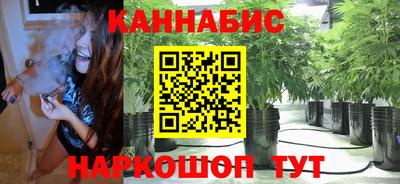 индика Донецк