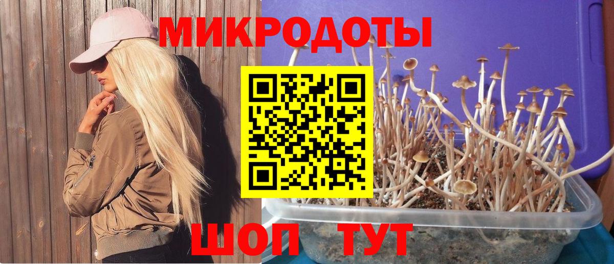 Псилоцибиновые грибы GOLDEN TEACHER Мурманск